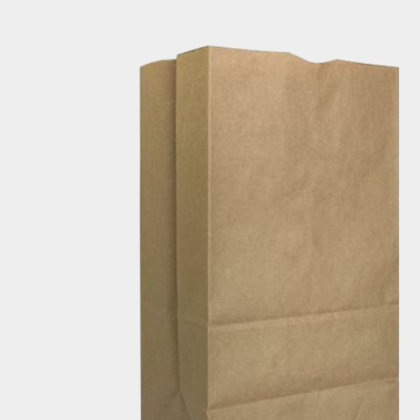 Carry Out Bags Icon