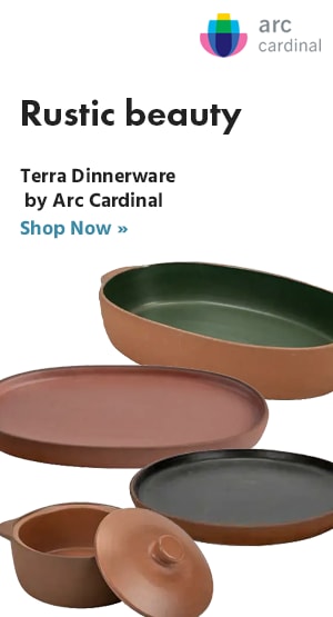 Shop Terra Dinnerware by Arc Cardinal