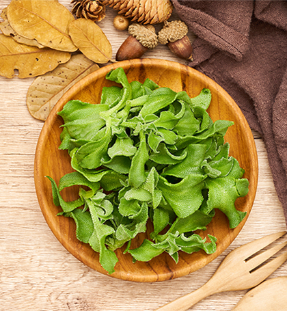 Crystalline Iceplant: Foods Demystified Crystalline Iceplant: Foods Demystified