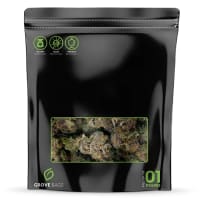 TerpLoc 20 Gallon Bin Liner - Case