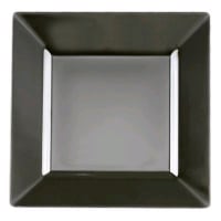 Plastic Square and Rectangle Plates