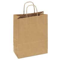 Darling Food Service Carryout Bags