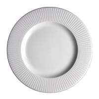 Willow Dinnerware by Steelite