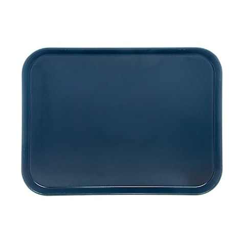 20 inch and Larger Rectangle Trays