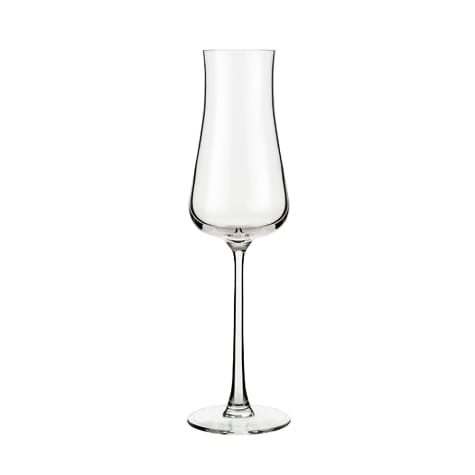 Libbey 1009305 Virtuoso 8 Ounce Champagne Glass - 12 / CS