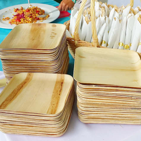 Eco-Friendly Disposables